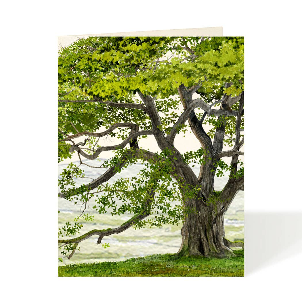English Oak - Everyday Card