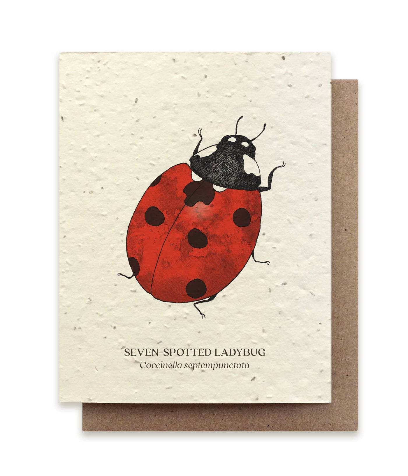 Ladybug Wildflower Seed Card