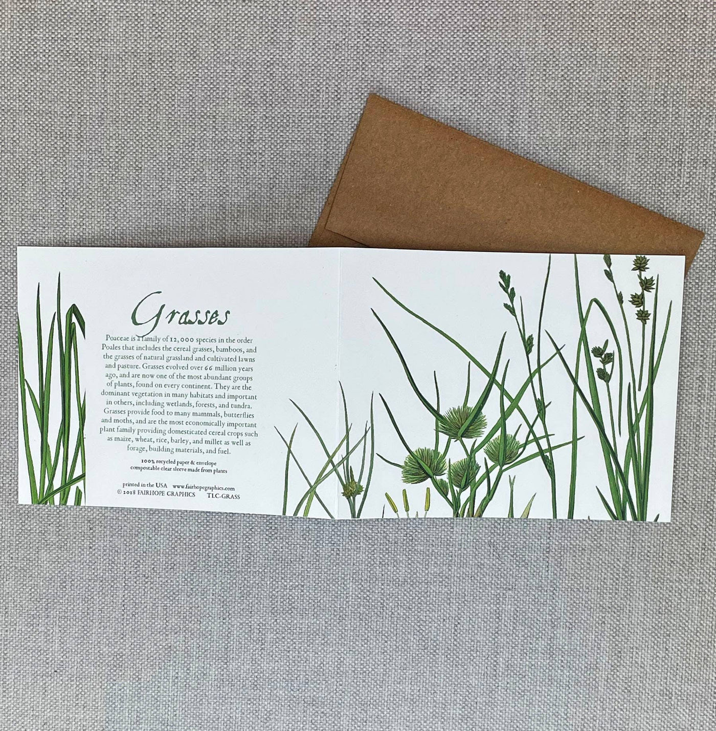 Grasses Card