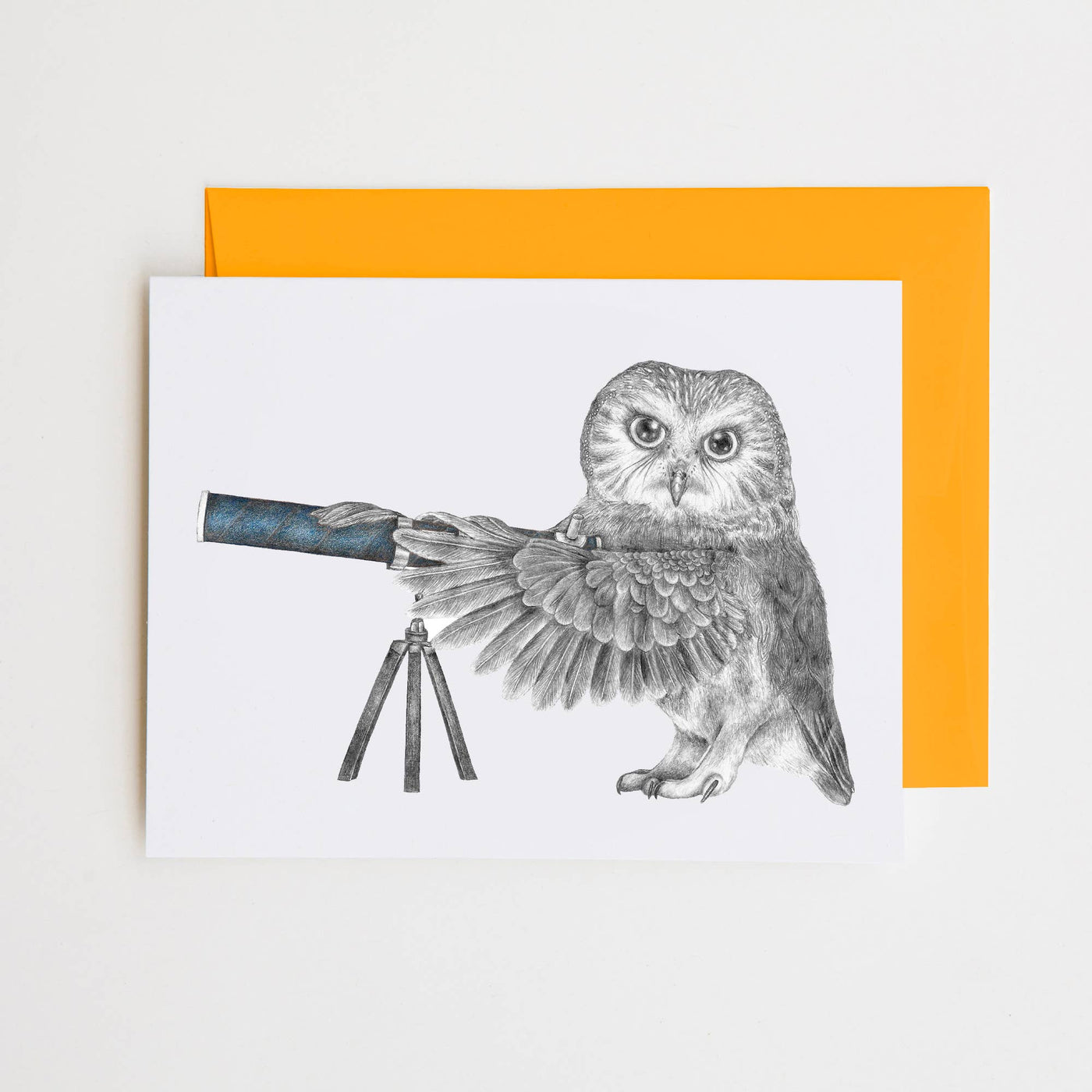 Pearl Papineau Saw Whet Owl Note Card