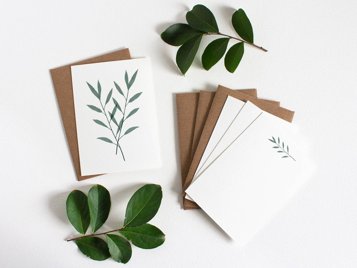 Simple Eucalyptus Notecard Set - Box Set of 12