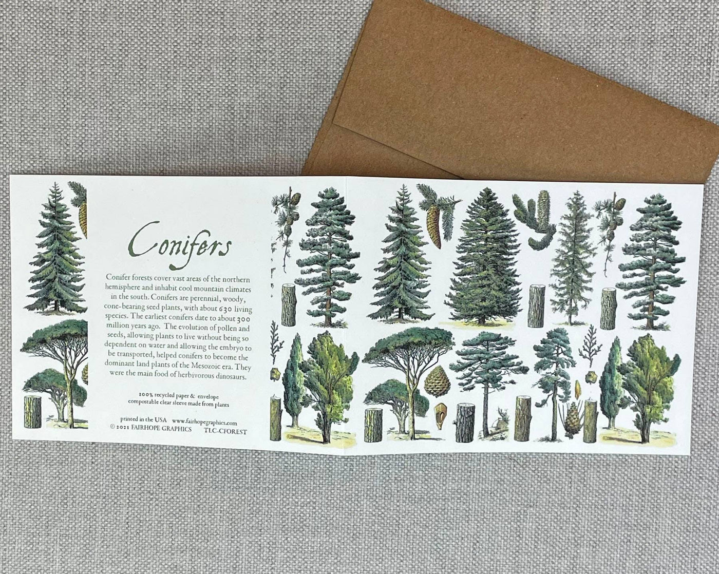 Conifer Forest Card