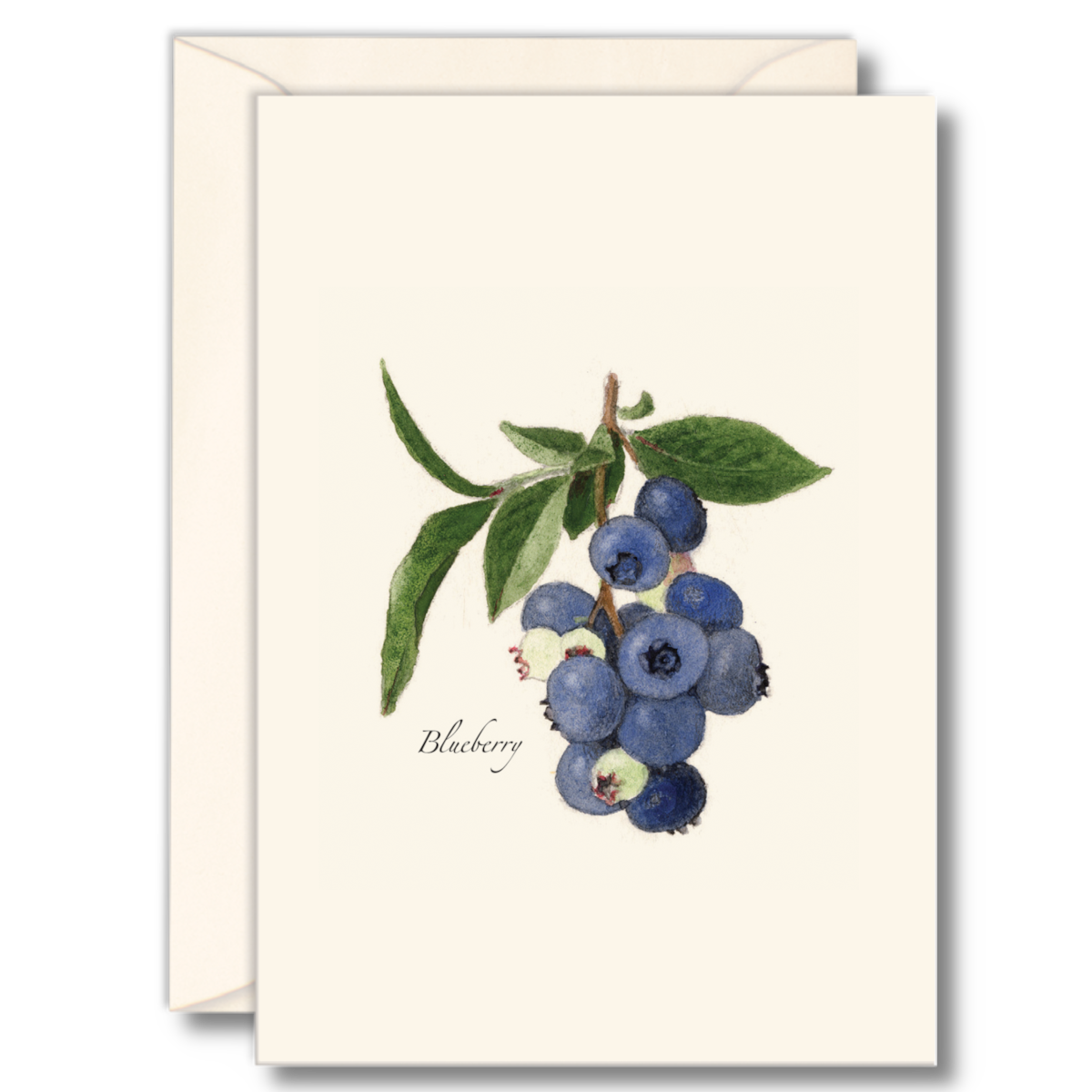 Blueberry