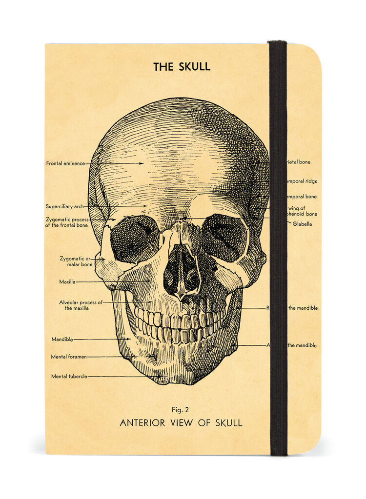 Skull Notebook Small