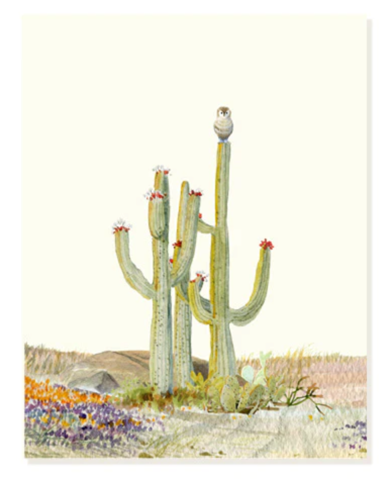 Desert Perch -  Blank card