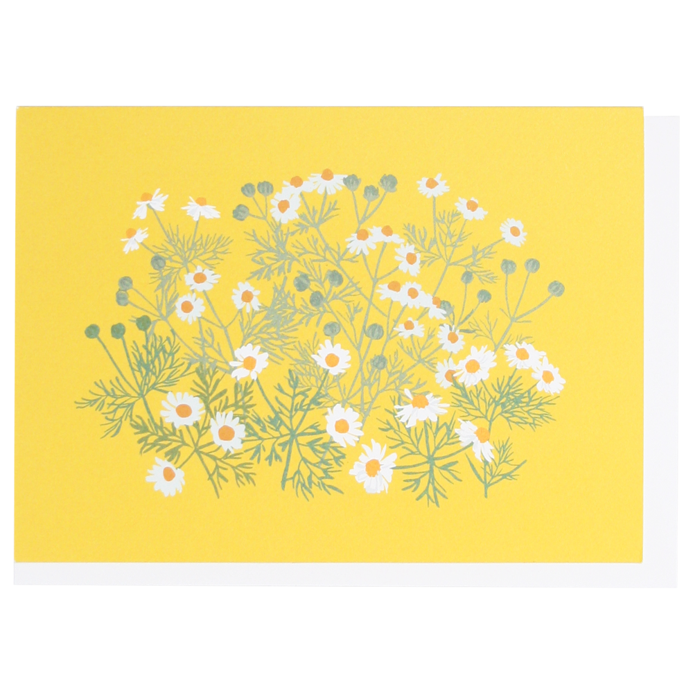 Chamomile Note Card