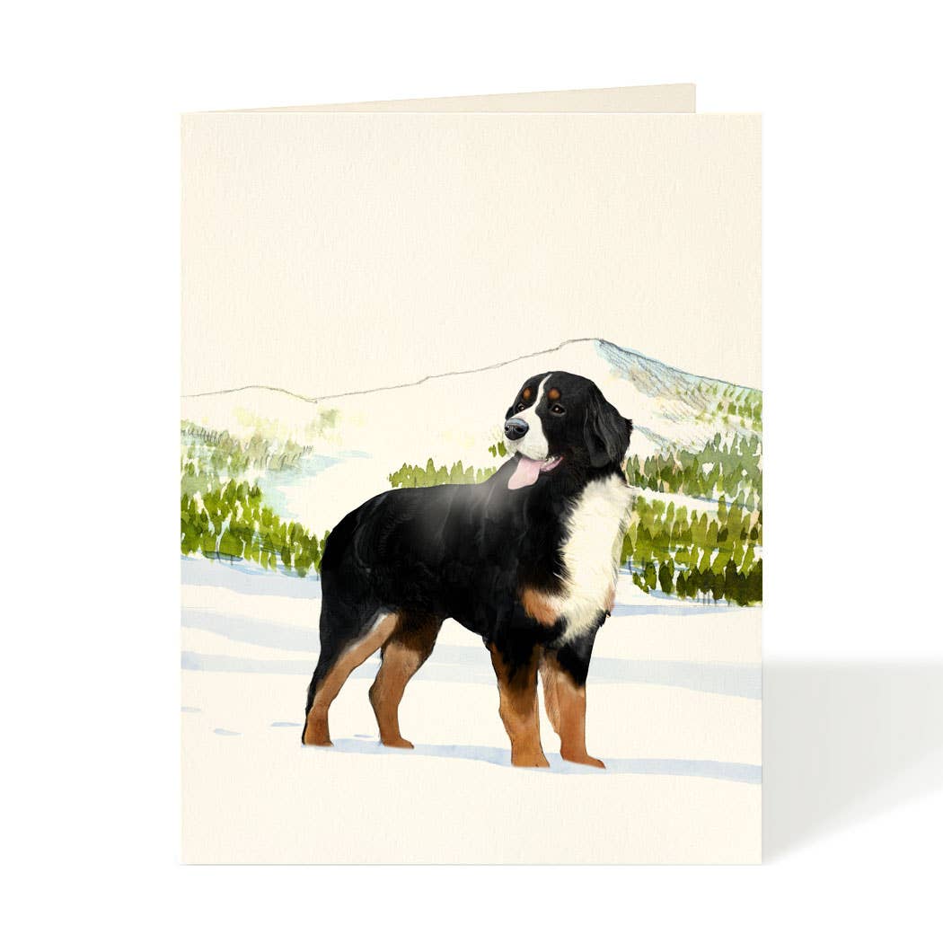 Bernese Mountain Dog - Everyday Card