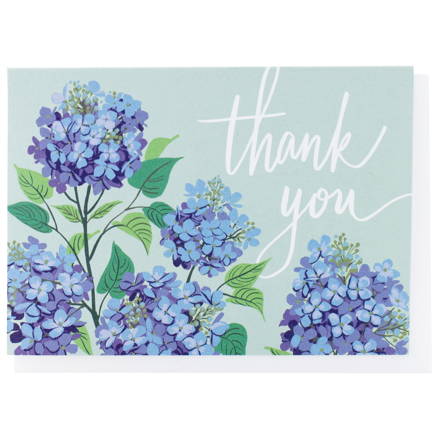 Hydrangea Thank You Boxed Note Cards