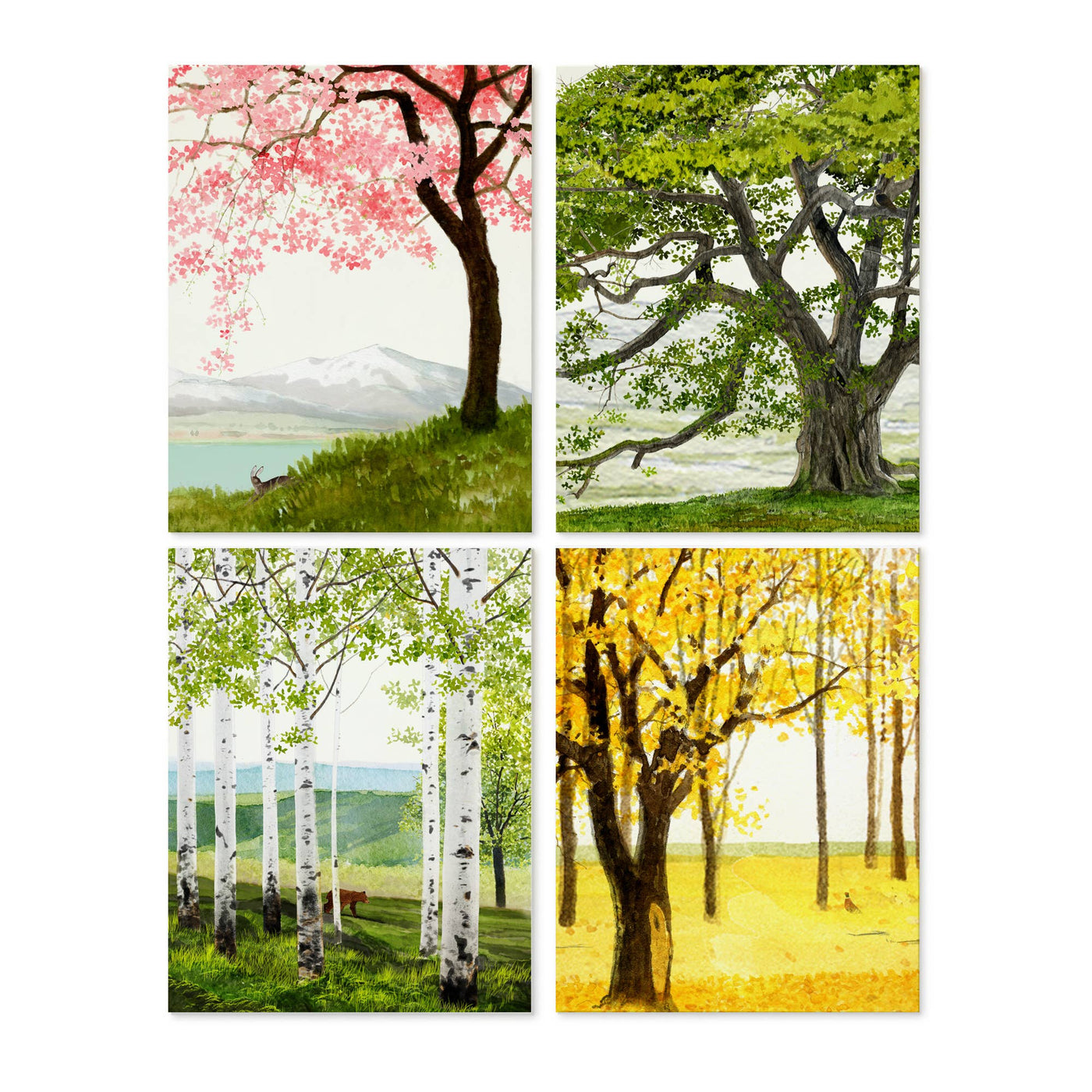 Trees -- Note Set - Themed cards, boxed