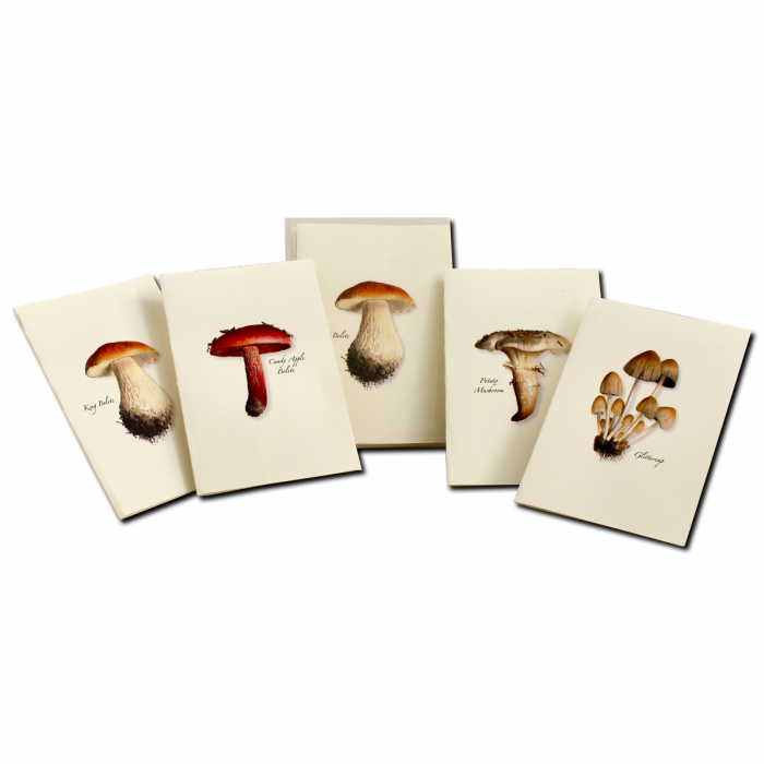 Mushroom Assortment