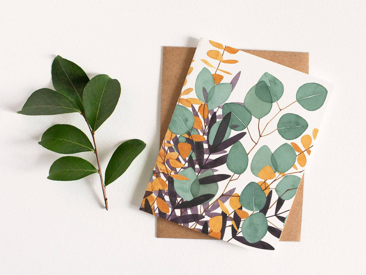 Eucalyptus Greeting Card