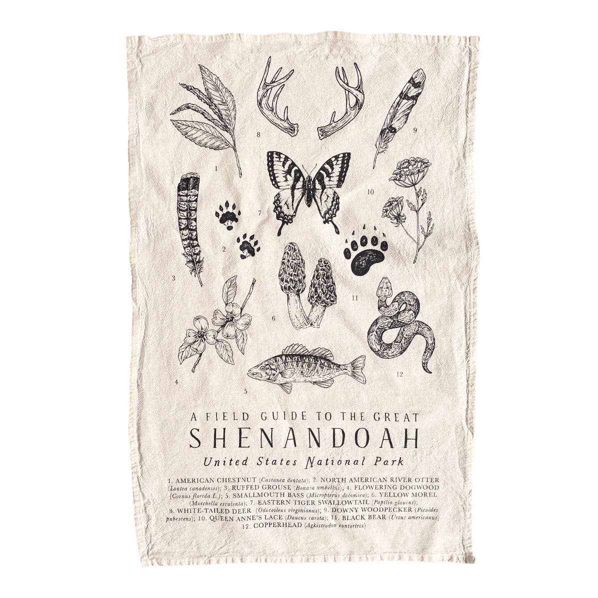 Shenandoah National Park Field Guide Tea Towel