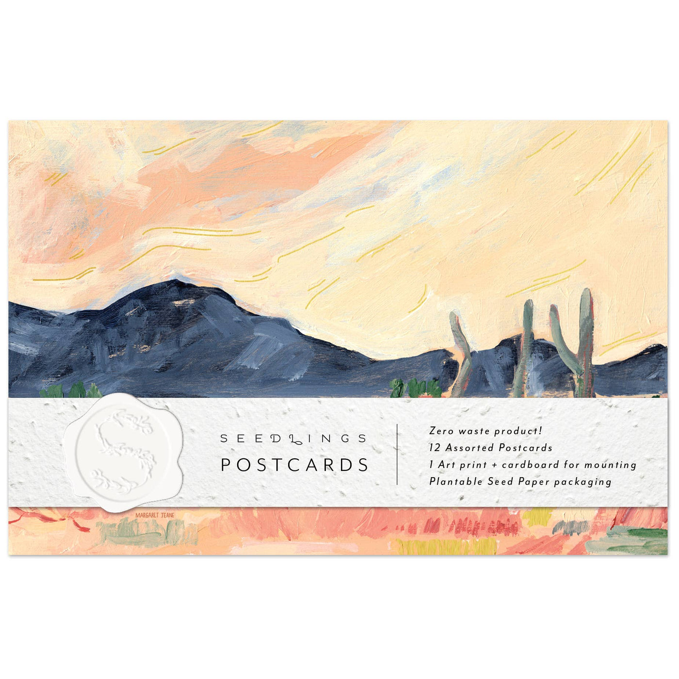 Desert Cactus Seedlings Postcard Set
