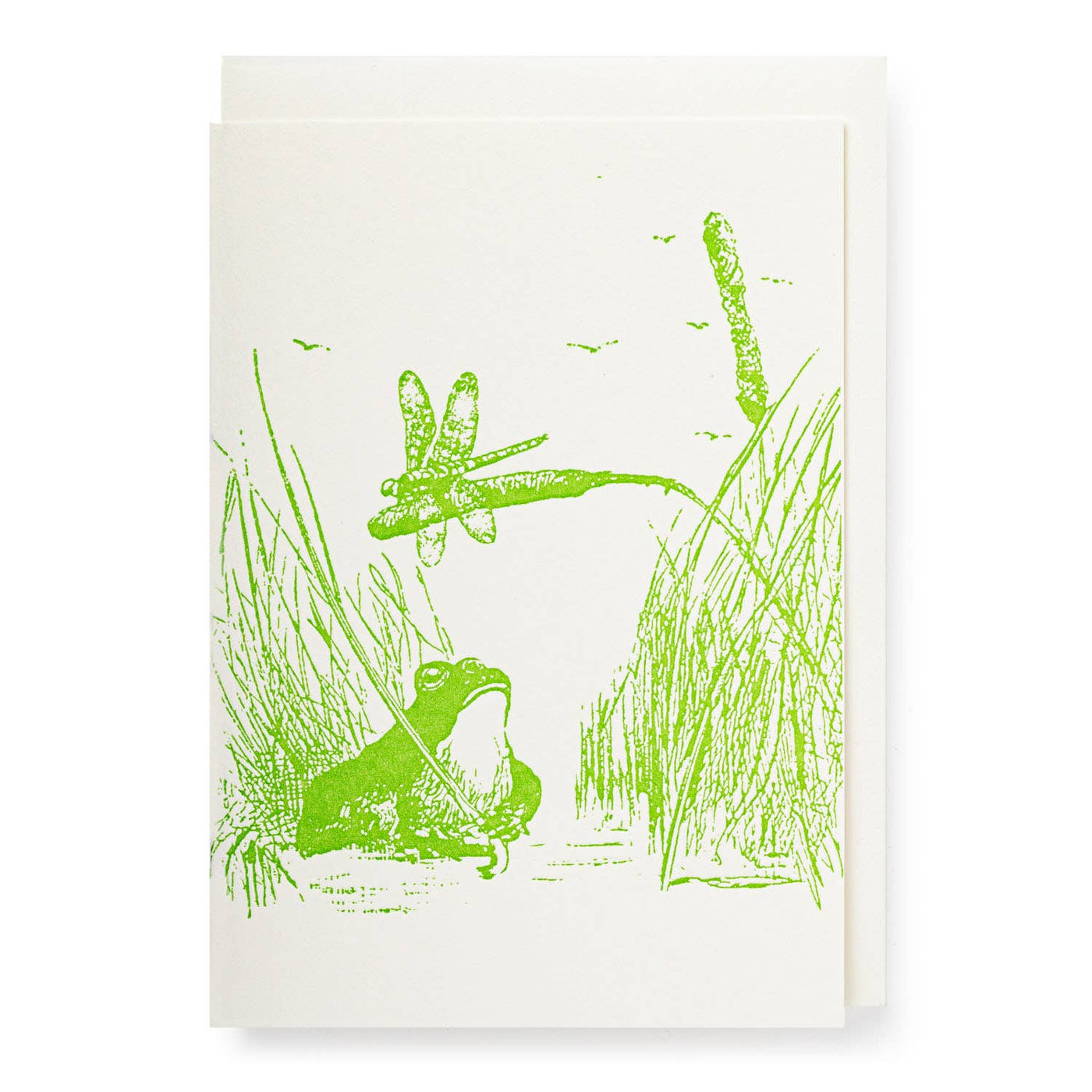 Frog Note Card