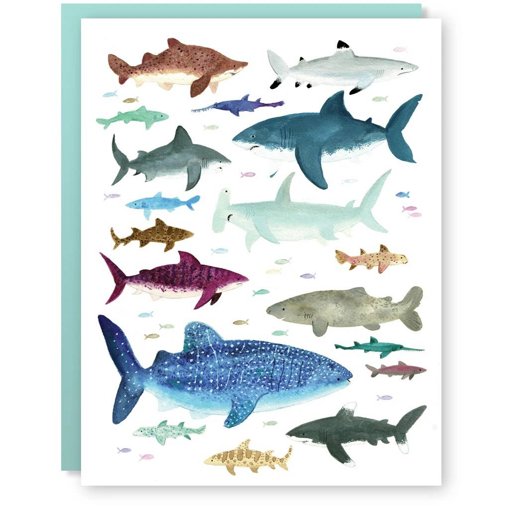 Shark Shiver Card