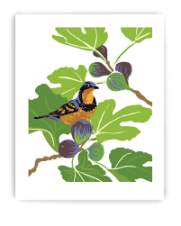 Bird Berries Spring- 8x10 Art Print