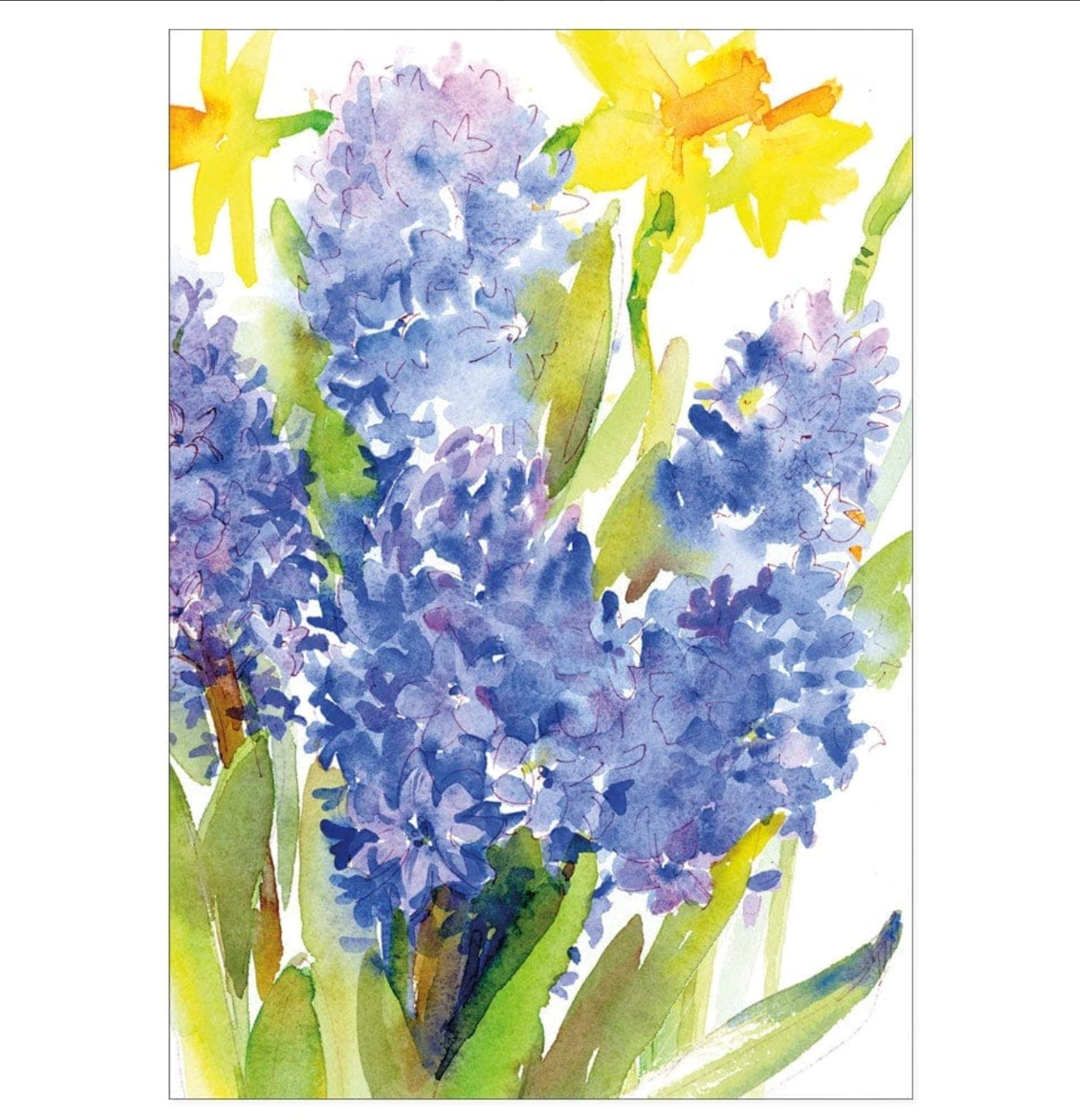 Hyacinths and Daffodils- Message