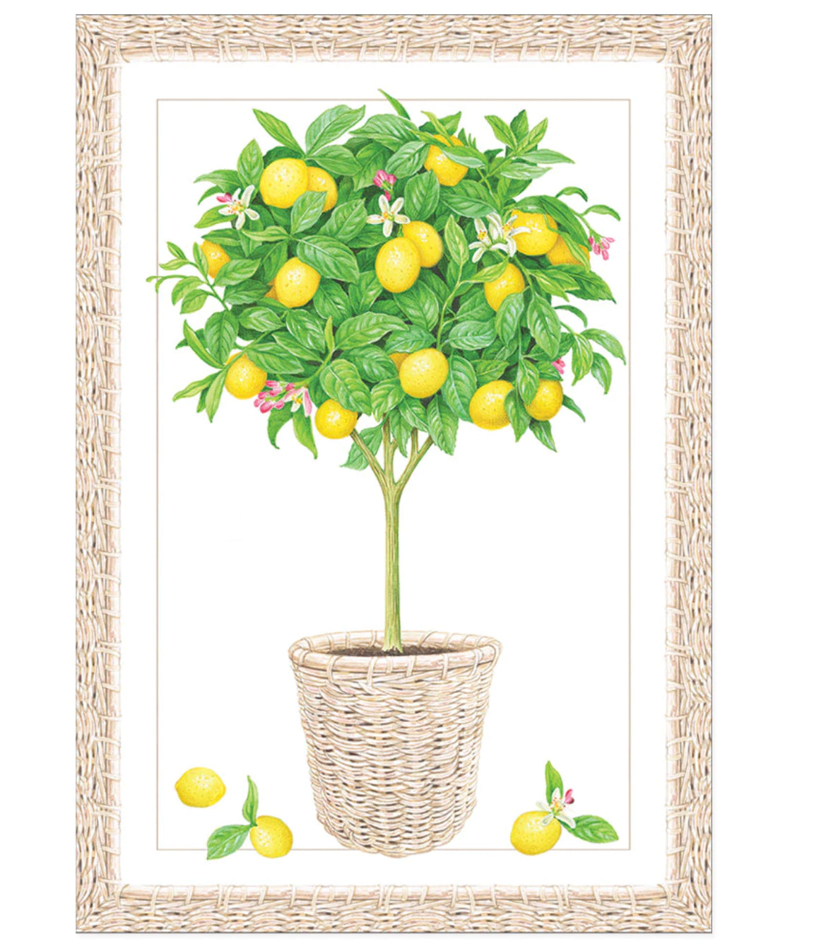 Lemon Topiary- Blank