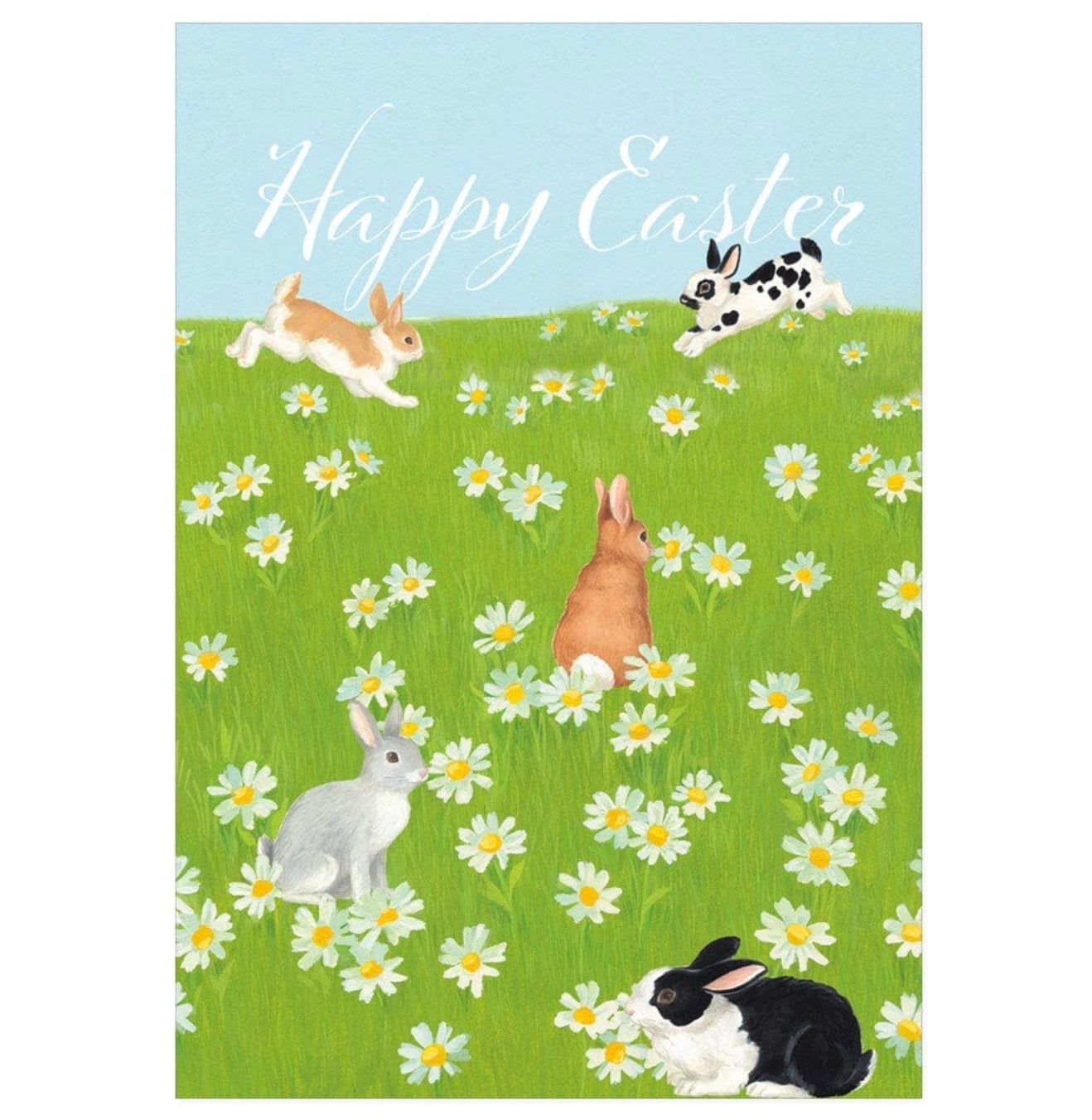 Bunnies and Daisies- Message