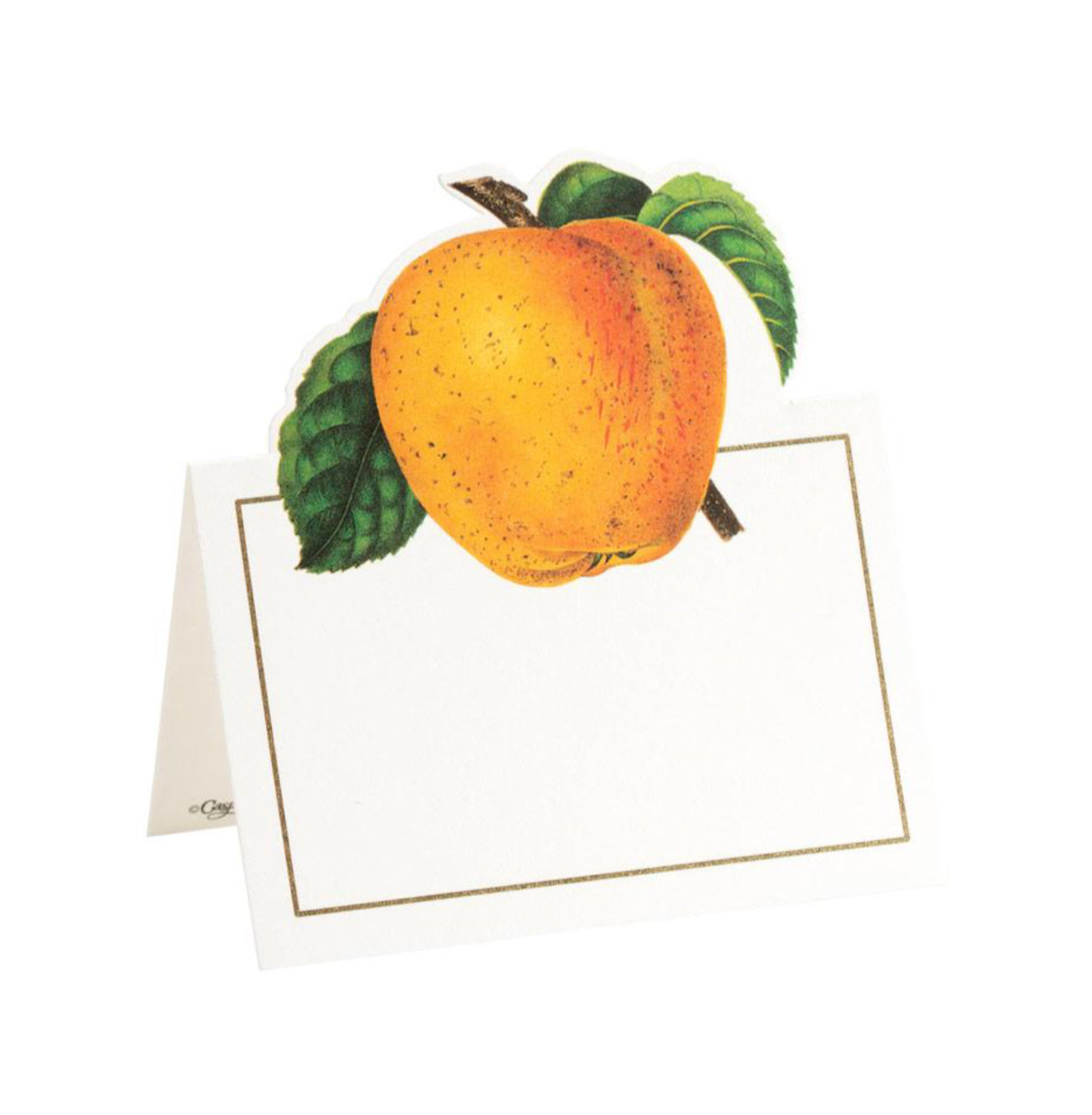 Botanical Chintz-Apple Place Cards