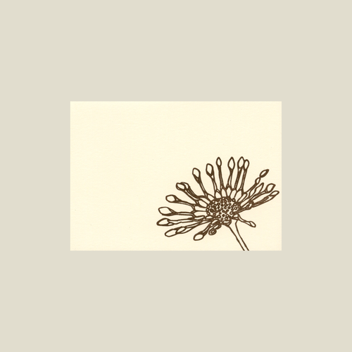 Spoonflower Card - Kinaloon