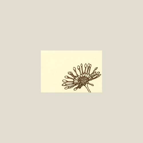 Spoonflower Letterpress Enclosure Cards - Kinaloon