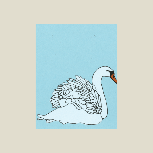 Swan Card - Kinaloon